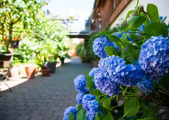 Bed and breakfast Beate's